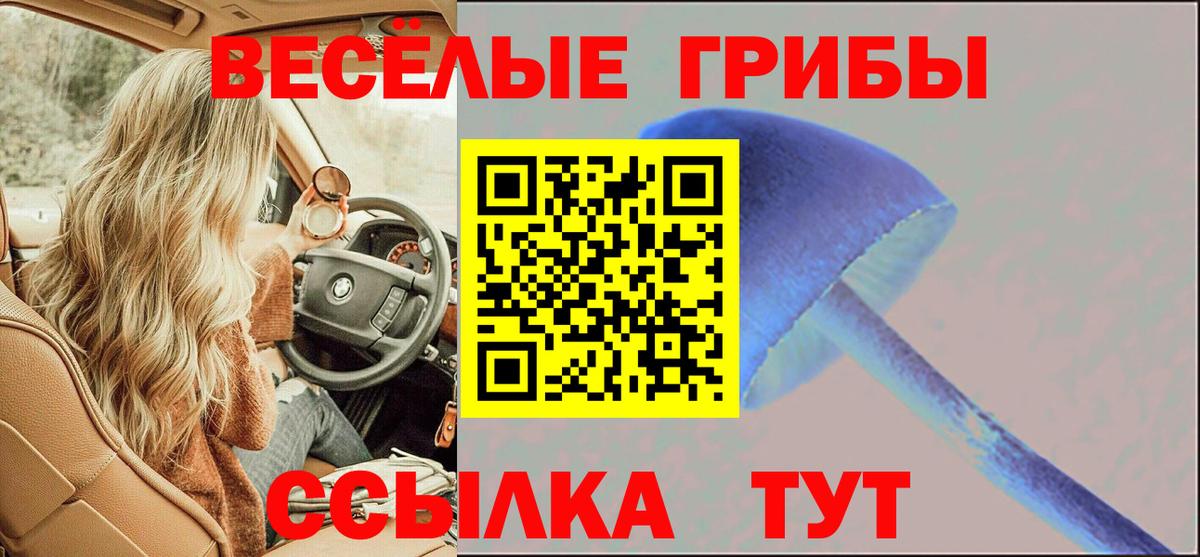 Галлюциногенные грибы мицелий Владикавказ